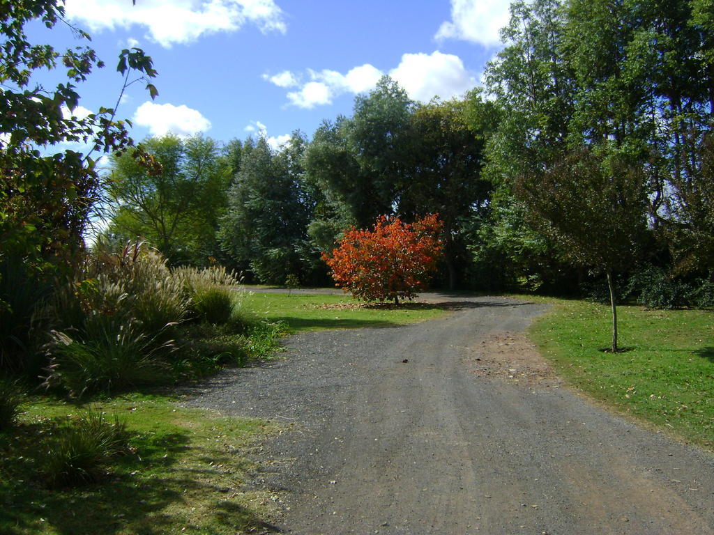 산안토니오데아레코 El Ranchito De Areco 빌라 외부 사진