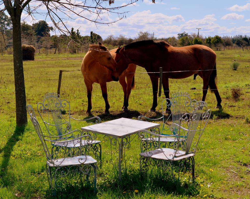 산안토니오데아레코 El Ranchito De Areco 빌라 외부 사진
